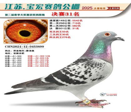 寶宏春棚決賽31名