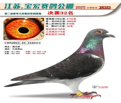 寶宏春棚決賽32名