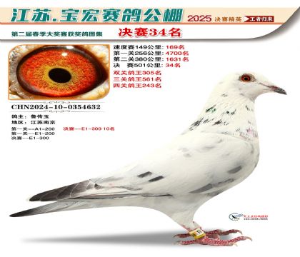 寶宏春棚決賽34名