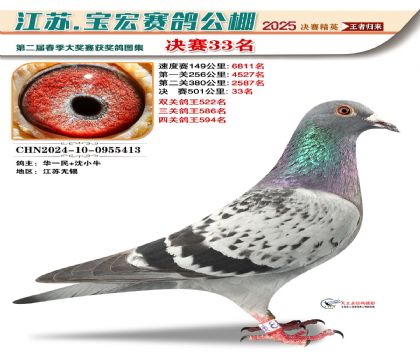 寶宏春棚決賽33名