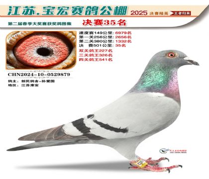 寶宏春棚決賽35名