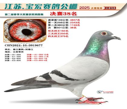 寶宏春棚決賽38名
