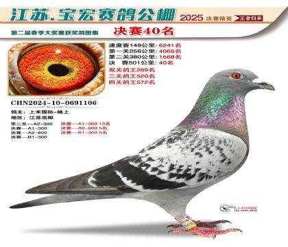 寶宏春棚決賽40名