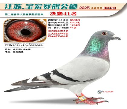 寶宏春棚決賽41名