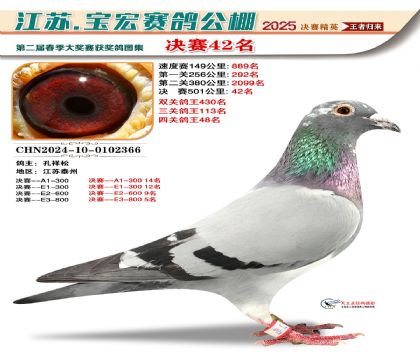 寶宏春棚決賽42名