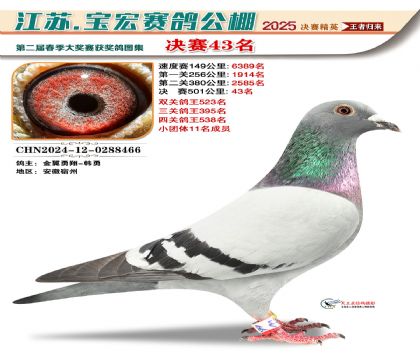 寶宏春棚決賽43名