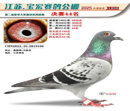 寶宏春棚決賽44名