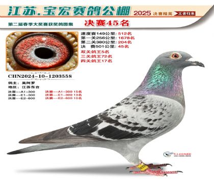 寶宏春棚決賽45名