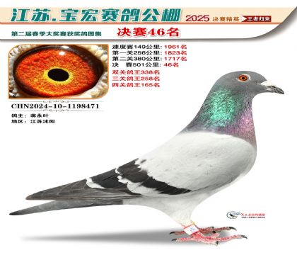 寶宏春棚決賽46名