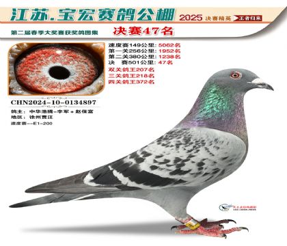 寶宏春棚決賽47名