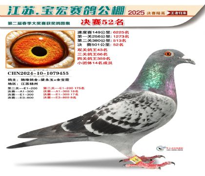 寶宏春棚決賽52名
