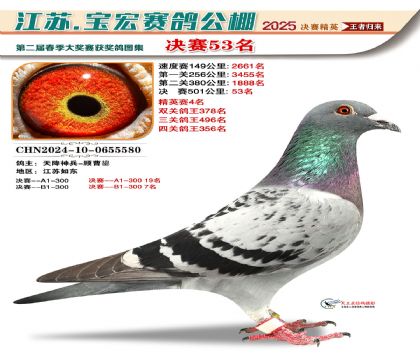 寶宏春棚決賽53名