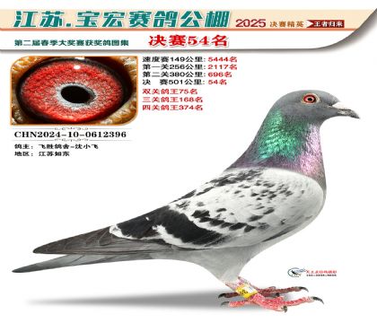 寶宏春棚決賽54名
