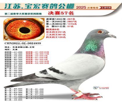 寶宏春棚決賽57名