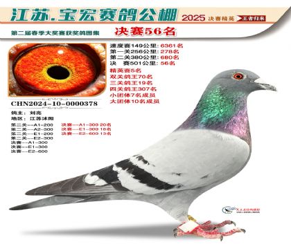 寶宏春棚決賽56名