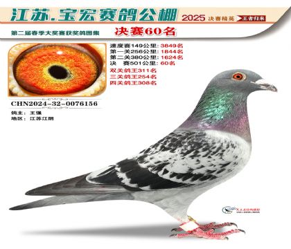 寶宏春棚決賽60名