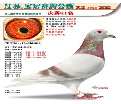 寶宏春棚決賽61名