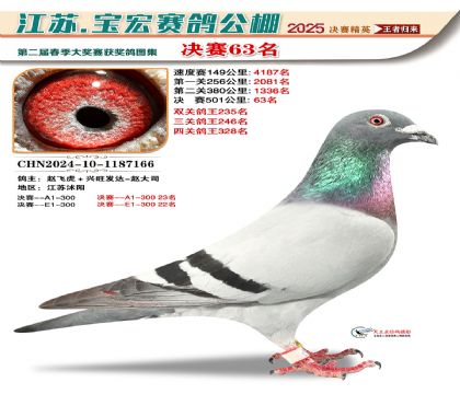 寶宏春棚決賽63名