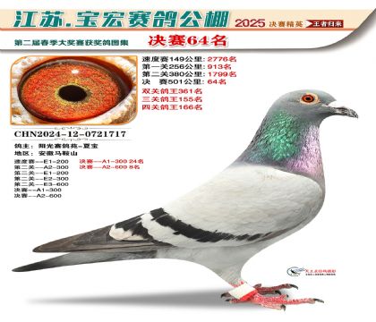 寶宏春棚決賽64名