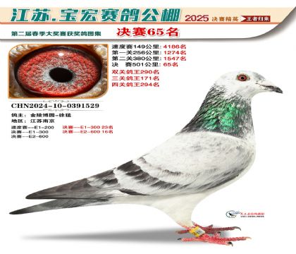 寶宏春棚決賽65名