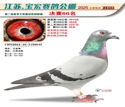 寶宏春棚決賽66名