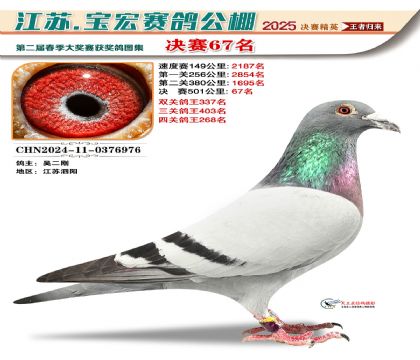 寶宏春棚決賽67名