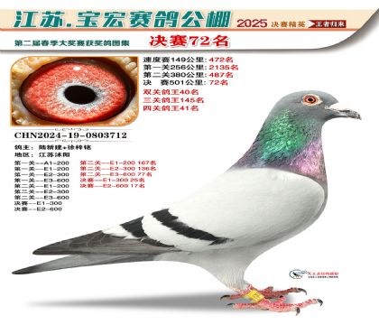寶宏春棚決賽72名