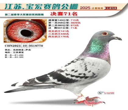 寶宏春棚決賽71名