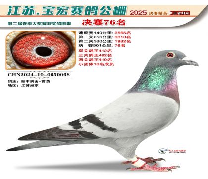 寶宏春棚決賽76名