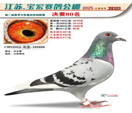 寶宏春棚決賽80名