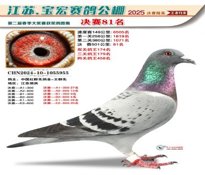 寶宏春棚決賽81名