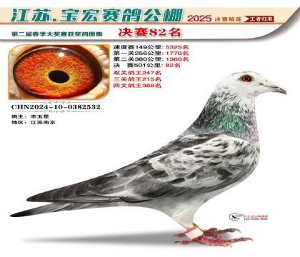 寶宏春棚決賽82名