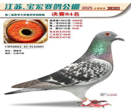 寶宏春棚決賽84名