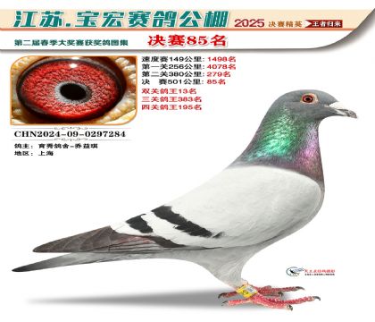 寶宏春棚決賽85名