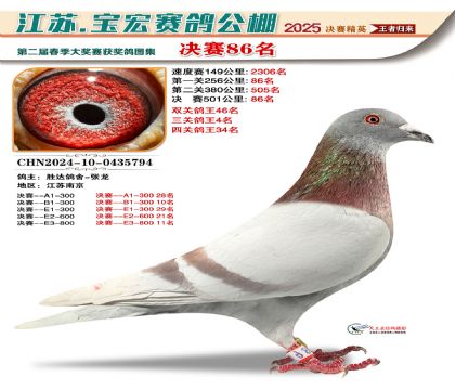 寶宏春棚決賽86名