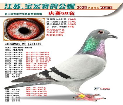 寶宏春棚決賽88名