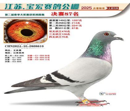 寶宏春棚決賽87名