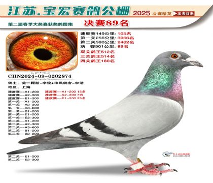 寶宏春棚決賽89名