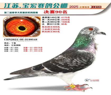 寶宏春棚決賽90名