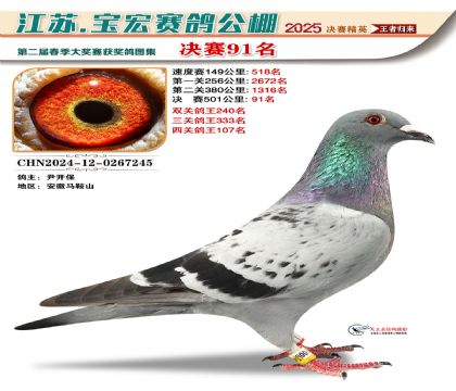 寶宏春棚決賽91名