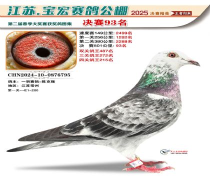 寶宏春棚決賽93名