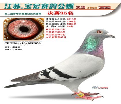 寶宏春棚決賽95名