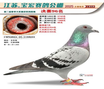 寶宏春棚決賽96名