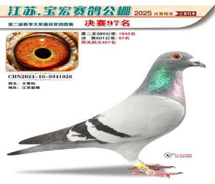 寶宏春棚決賽97名