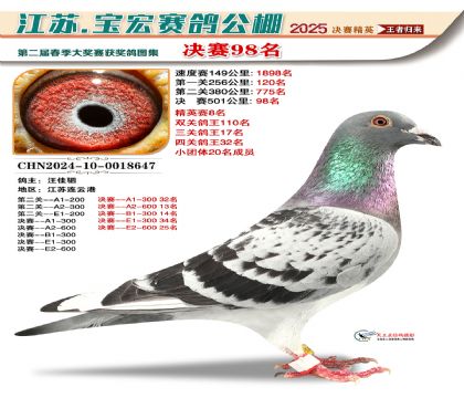 寶宏春棚決賽98名