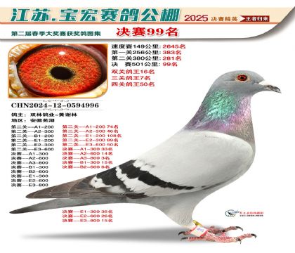 寶宏春棚決賽99名