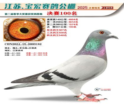 寶宏春棚決賽100名