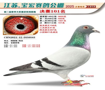 寶宏春棚決賽101名