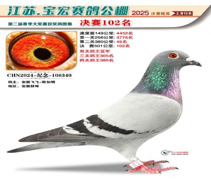寶宏春棚決賽102名