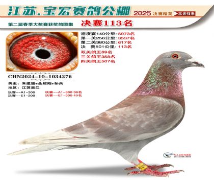 寶宏春棚決賽113名